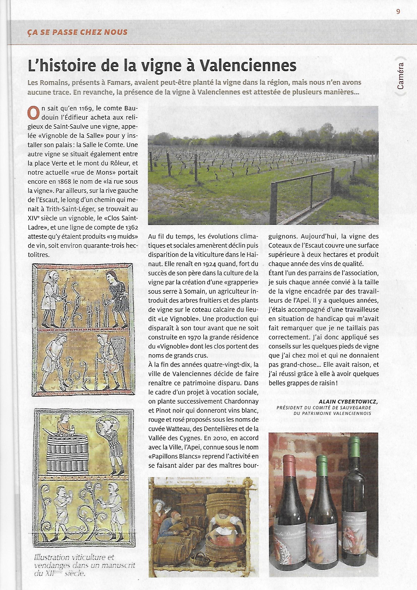 La_vigne_a_Valenciennes.jpg