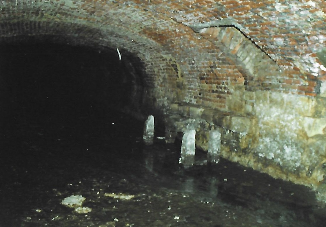 Grand_Bruille_3.jpg
