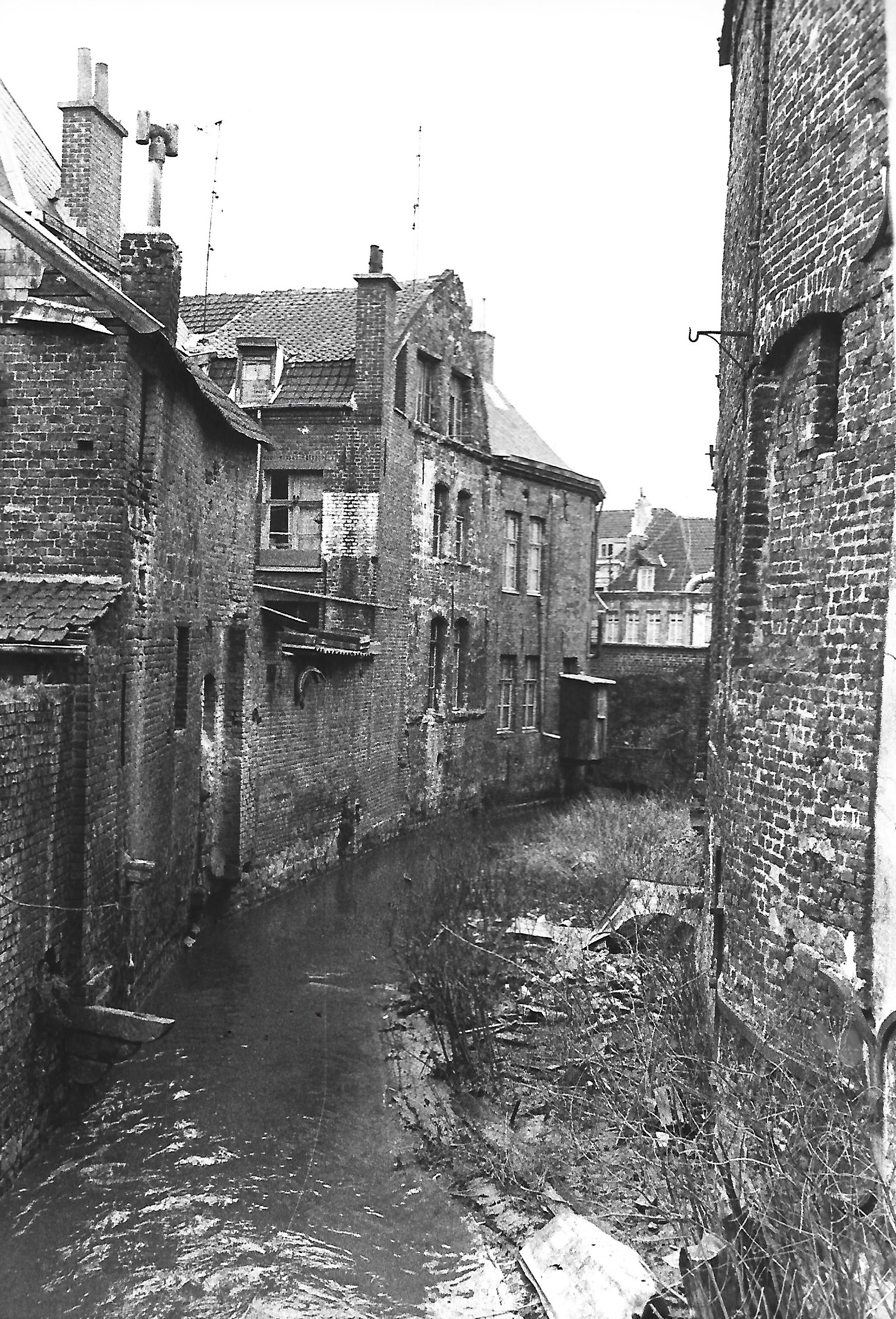La_Rhonelle_au_pont_Delsaux.jpg