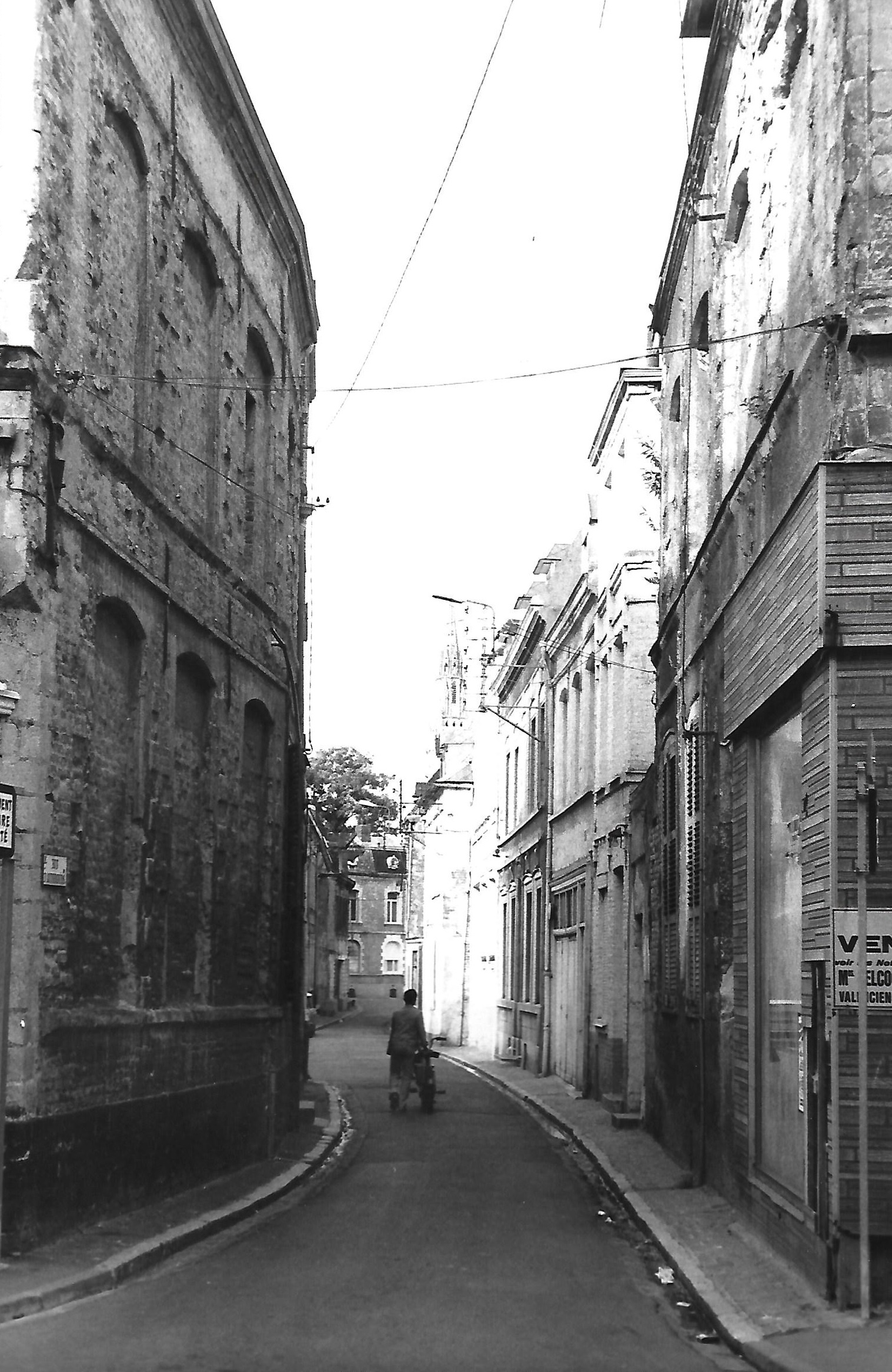 Rue.jpg