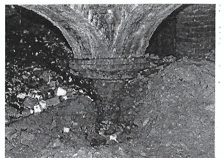 Scan_0003_rogne.jpg