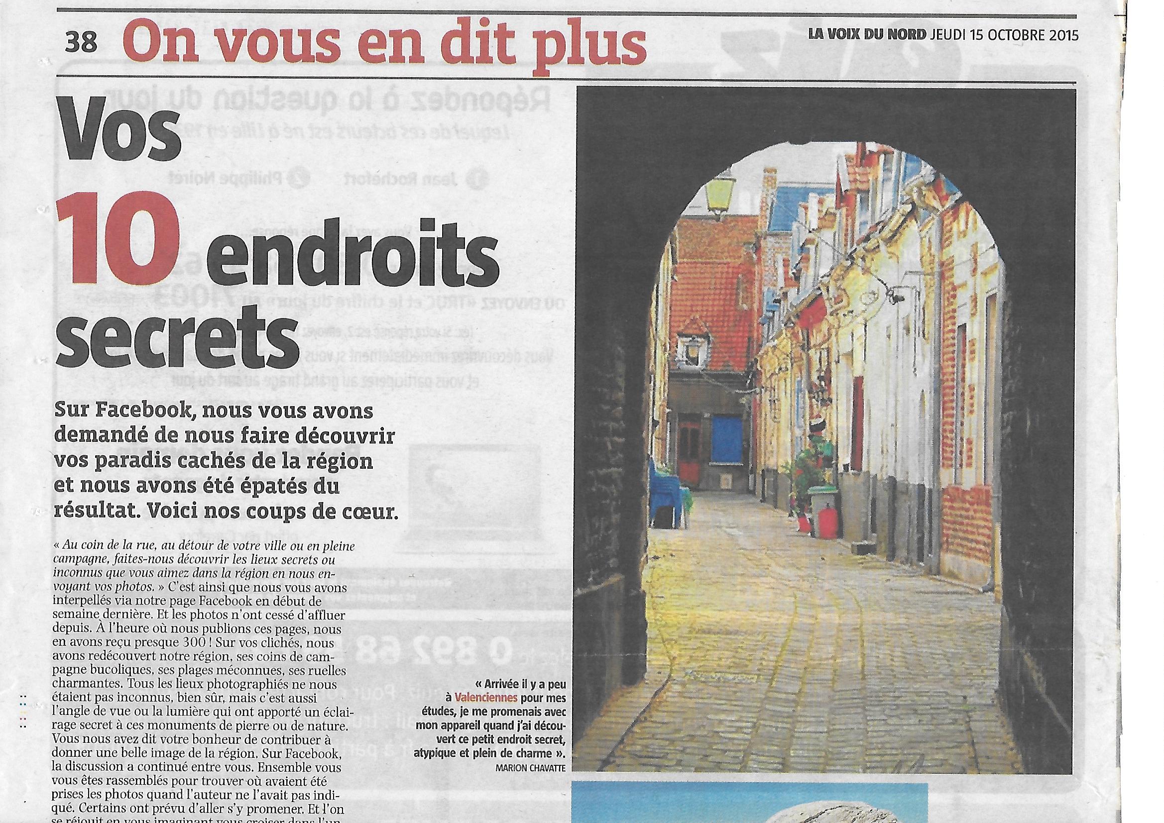 Article_la_Voix_du_Nord_15_10_2015.jpg