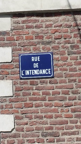 19.jpg