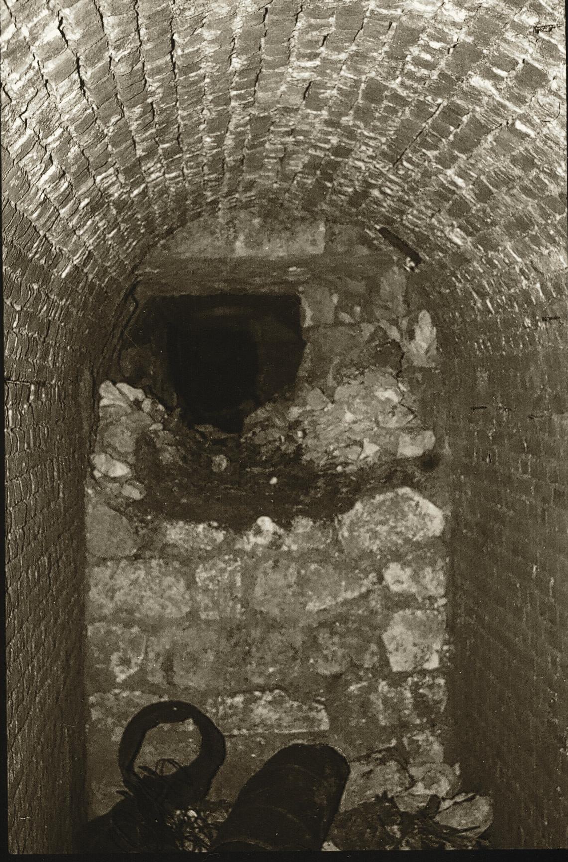 PaterLycWattSout10aBoyauA_1979.jpg